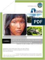 (2012) (Guatemala) Centro de Apoyo Integral para Mujeres Sobrevivientes de Violencia PDF