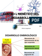 GENES DEL DESARROLLO (2018).pptx