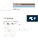 cv modelo.pdf