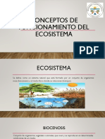 Conceptos de Funcionamiento Del Ecositema
