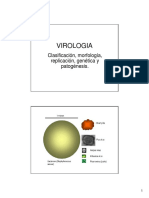 virologia morfologia y otros.pdf