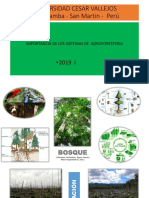 Sistemas Agroforestales Clase 13 - 2019 I