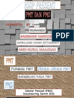 Presentasi PMT PMS