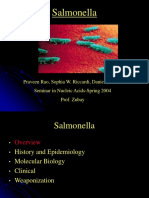 Salmonella: Praveen Rao, Sophia W. Riccardi, Danielle Birrer Seminar in Nucleic Acids-Spring 2004 Prof. Zubay