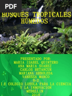 Presentacion Bosque Tropical
