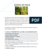 REINO FUNGI  y microscopio.docx