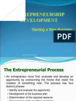 Starting a New Business - The Entrepreneurial Process (39