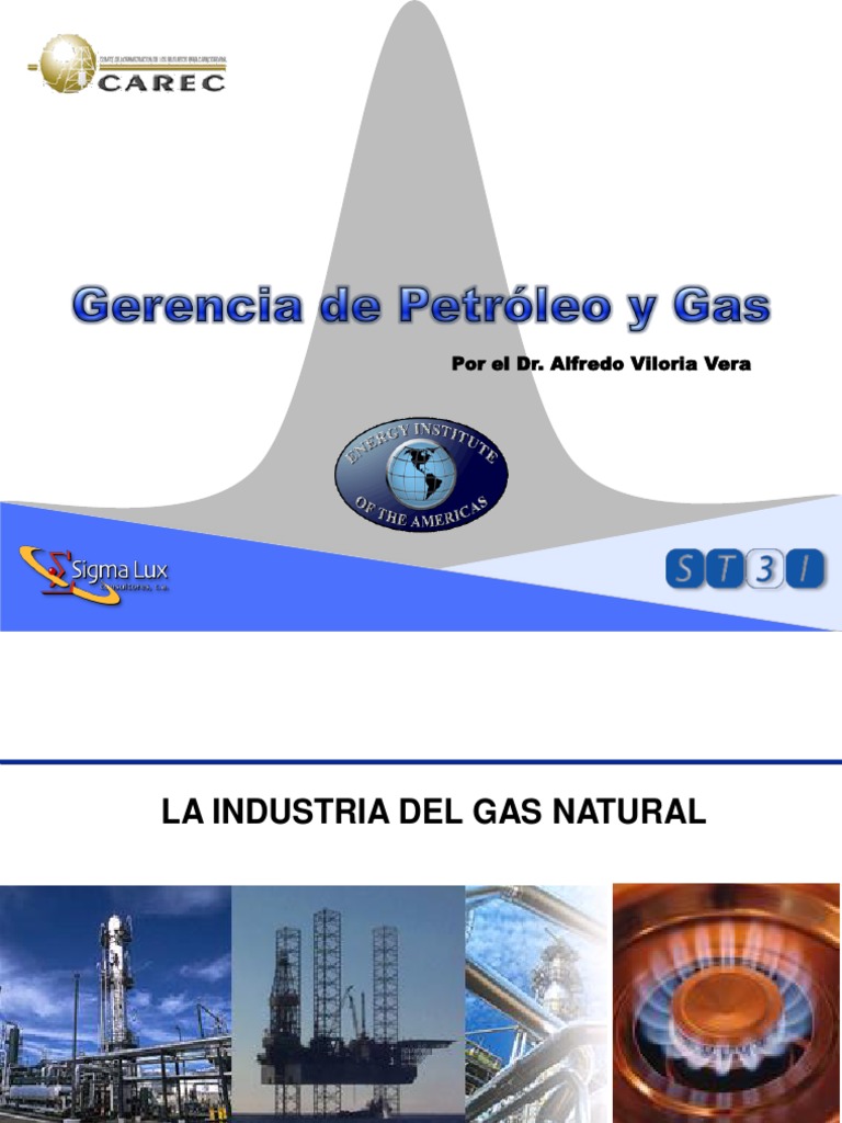 Panorama de la Industria del Gas Natural | PDF | Gas natural | Gas ...
