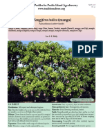Mangifera Mango PDF