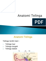 Anatomi_telinga.pptx.pptx