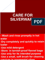 Care For Silver