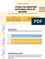 Demystifying the Persistent Pneumothorax