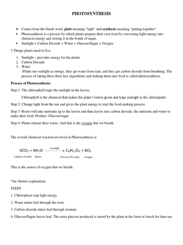 Understanding Photosynthesis Process | PDF | Wellness