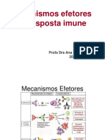 Mecanismos Efetores da Resposta Imune