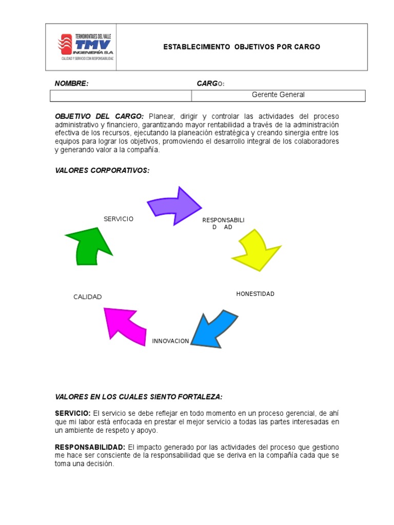 Objetivos Por Cargo Gerente General | PDF | Planificación | Toma de