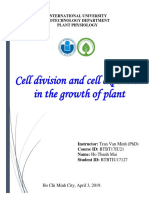 Cell Division and Cell Expansion in The Growth of Plant