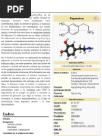 Wundt W Psicologia Dei Popoli