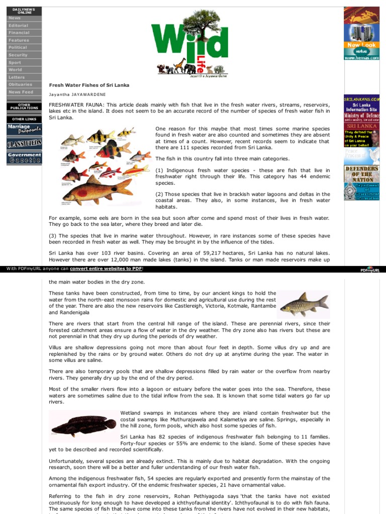Freshwater Fish Species in Sri Lanka | PDF | Introduced Species | Fresh ...