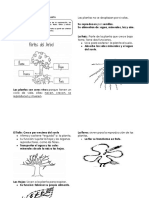 Material Cuaderno 1º Bas 2016 (Partes de Una Planta)