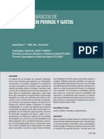 Conceptos Básicosn de Nutricion de Perros y Gatos