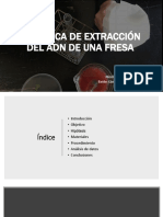 practica-adn-fresa.pdf