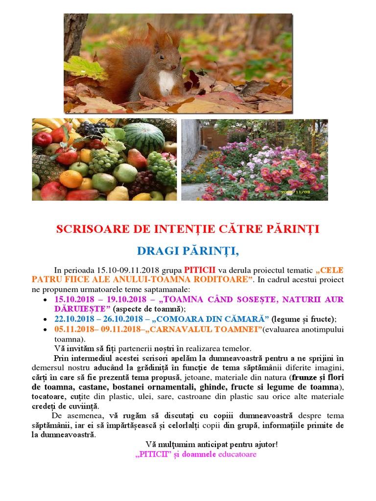 Scrisoare De Intentie Catre Parinti 3