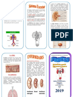 Triptico Del Sistema Excretor