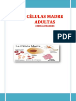 CÉLULAS MADRE ADULTAS.docx