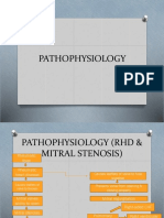 Case Pres Pathophysiology RHD MS