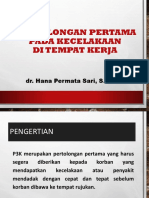 P3K dr. Hana