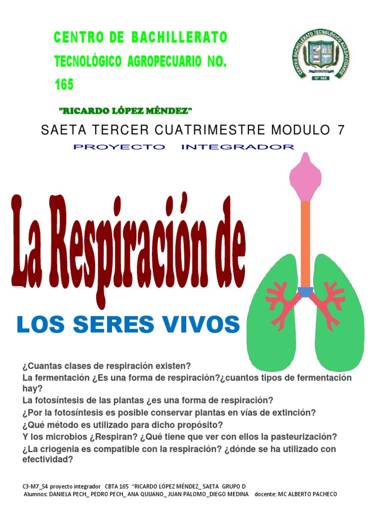 Cuantas Clases De Respiracion Hay En Los Seres Vivos