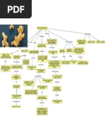 Contração muscular