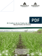 Cultivo de La Caña de Azucar