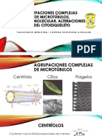 Centríolos, Cilios, Flagelos, Motor Molecular, Patologías.