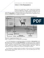 Practica 2 Ciclos Biogeoquimicos