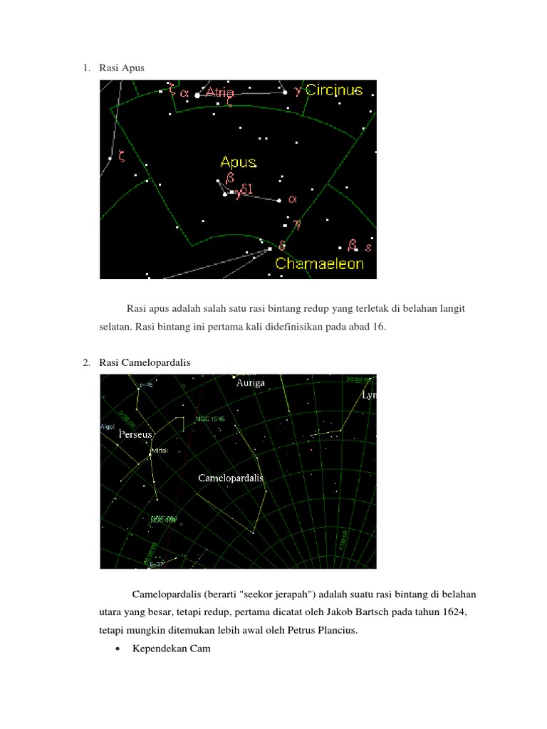 Tugas Paper Rasi Bintang V Pdf