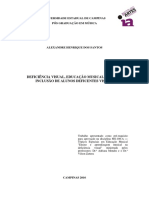 Deficiência Visual - Trabalho final - Adriana e Vilson.pdf