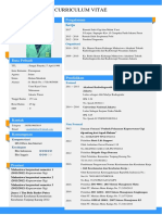 CV Aida PDF