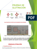 Pruebas de Aglutinación