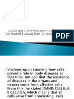 ST Postulate Was Eventually Proven by Rudolf Ludwig Karl Virchow in 1858