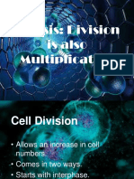 Mitosis: Division Is Also Multiplication
