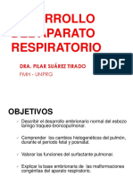 Desarrollo A. Respiratorio 2019