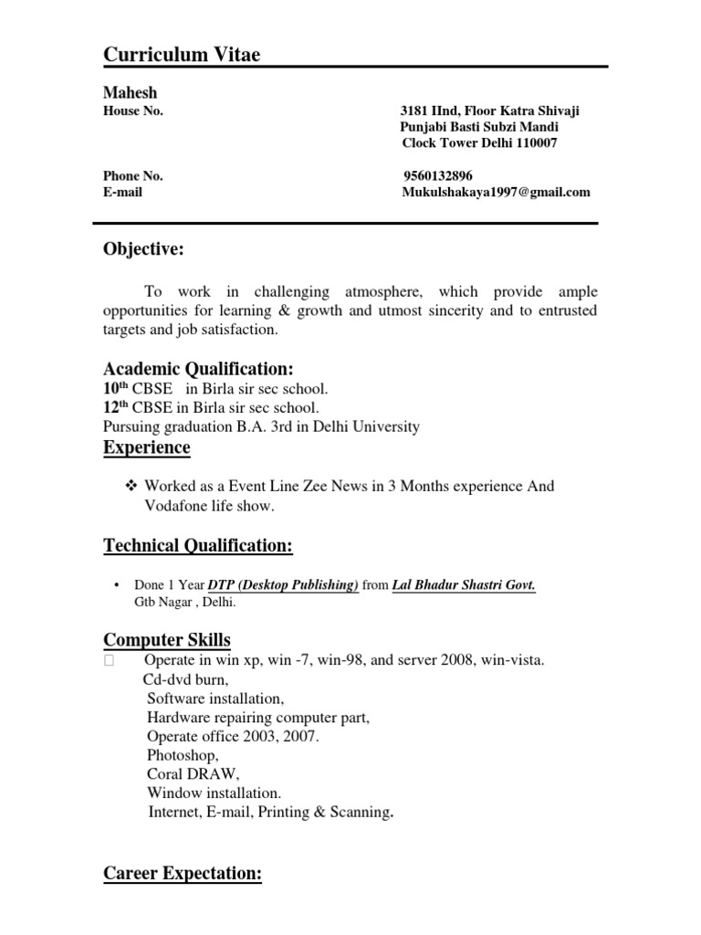 Mahesh's Professional CV and Skills | PDF