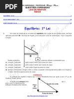 Corg 1ano Leisdenewton 