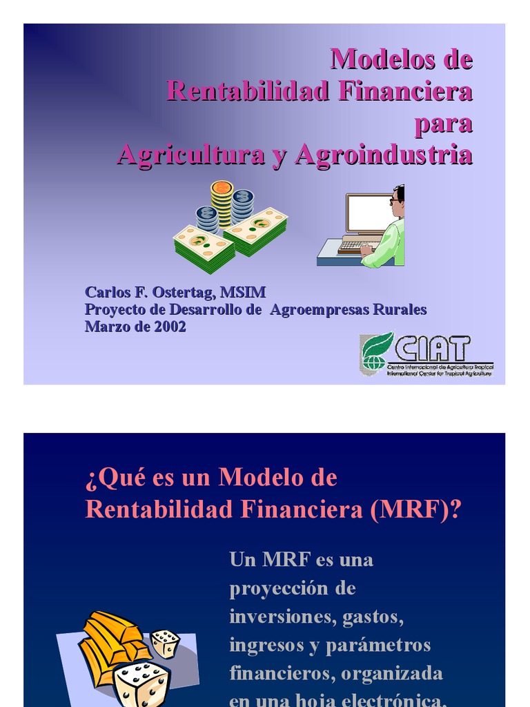 Modelo de Rentabilidad Financiera (Conceptos) | PDF | Tasa interna de  retorno | Interés