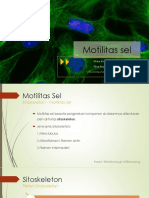 Sitoskeleton Biologi Sel