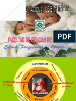 HIPEREMESIS-GRAVIDICA-FISIOPATOLOGIA