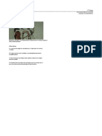 7_onhb_fase_1.pdf