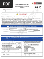 Cedula 3AP Censo Educativo 2019