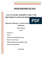 Amauta Informe